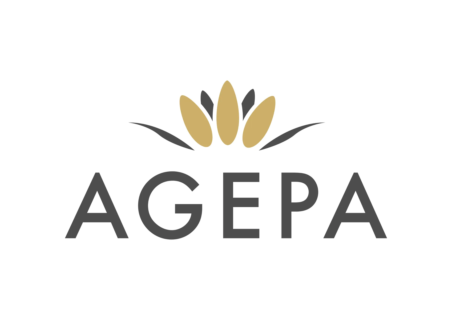 A.g.e.p.a.